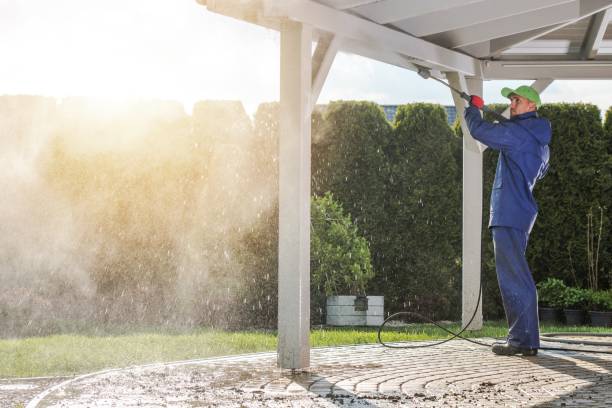 Best Gutter Cleaning  in Hemby Bridge, NC